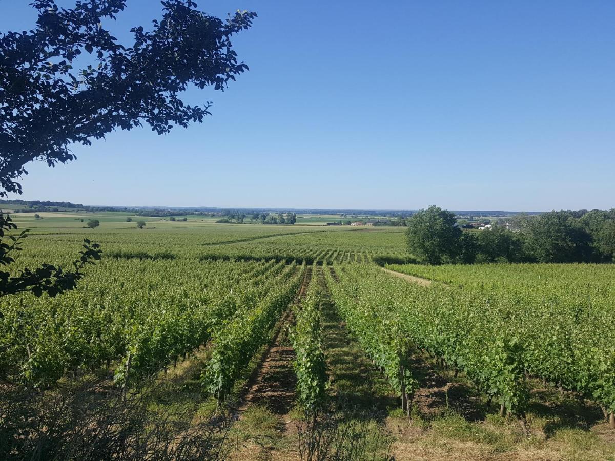 Hotel Au creux des vignes à Les Verchers-sur-Layon Extérieur photo